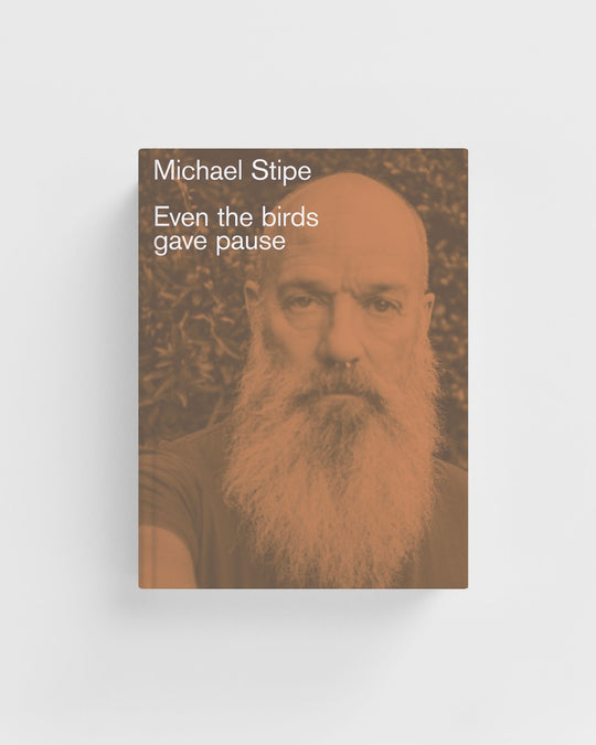 Even the Birds Gave Pause