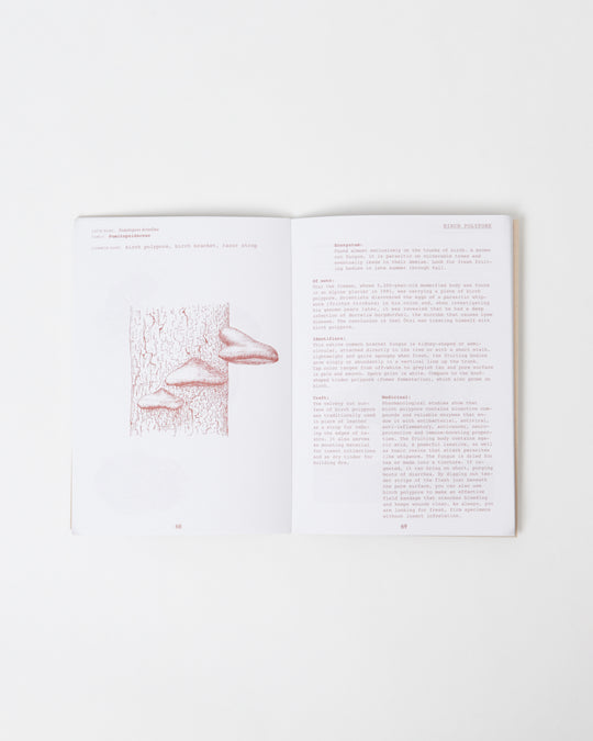 Field Guide Volume 3 - Fall/Winter