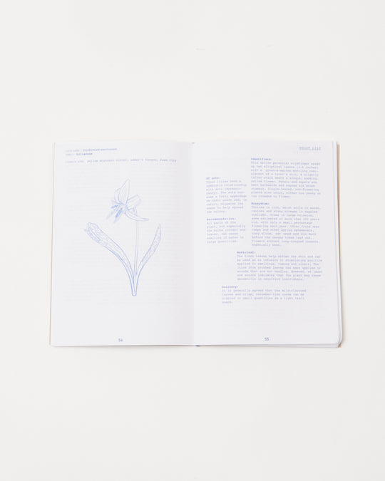 Field Guide Volume 2 - Spring