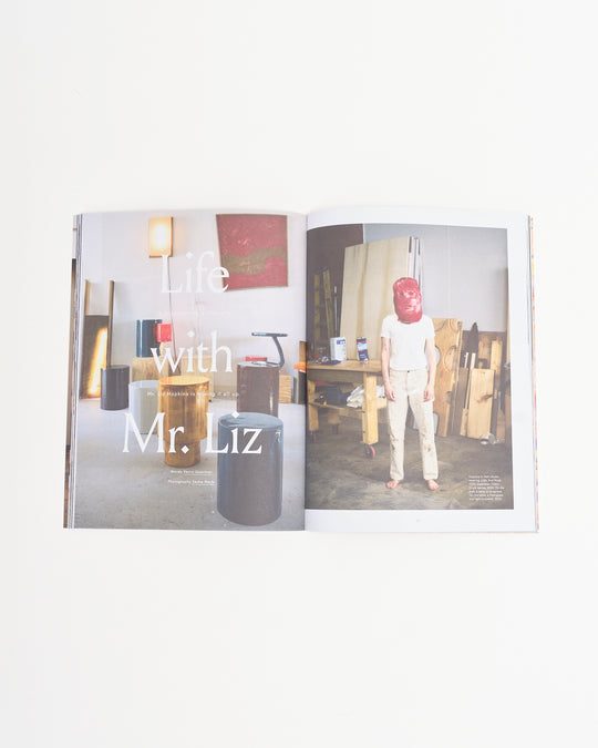 Upstate Diary Issue 19