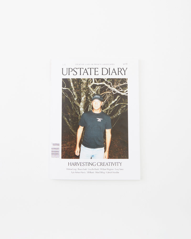 Upstate Diary Issue 15