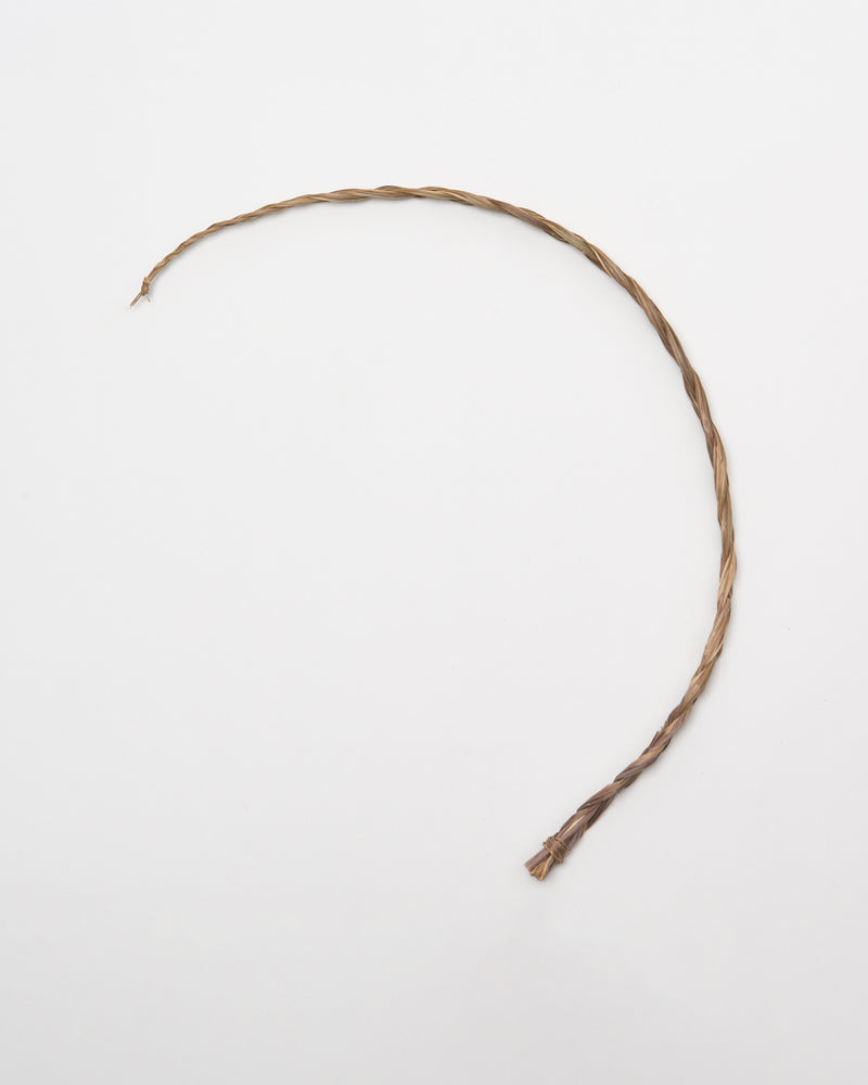 North American Sweetgrass