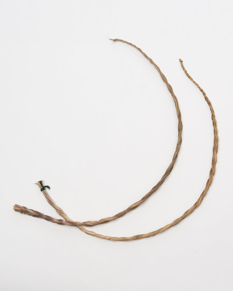 North American Sweetgrass