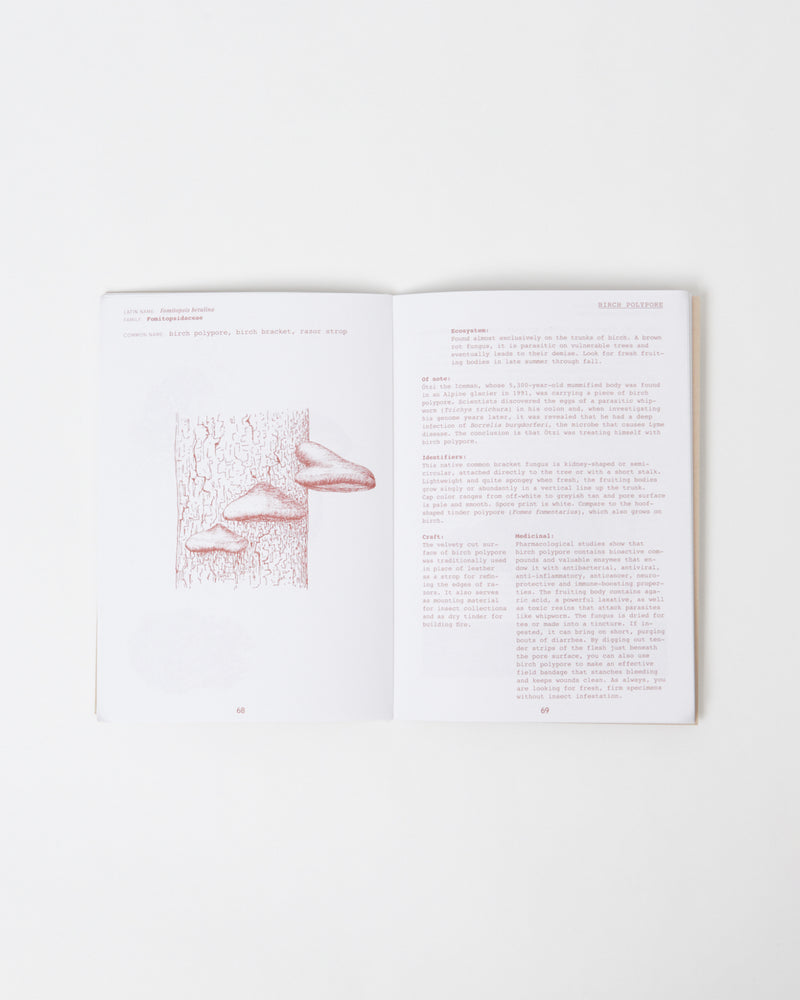 Field Guide Volume 3 - Fall/Winter